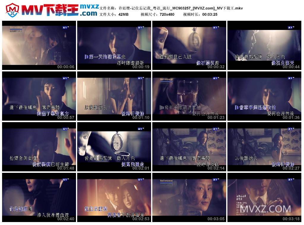 许廷铿-记住忘记我_粤语_流行_MC903257